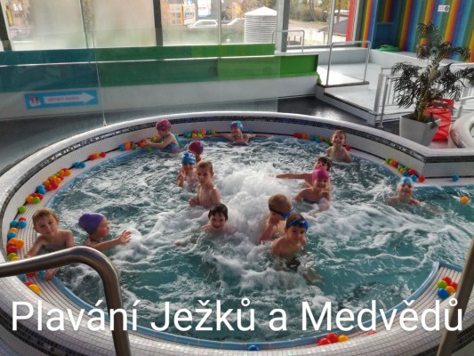 Sportovní aktivity - PLAVECKÝ KURZ