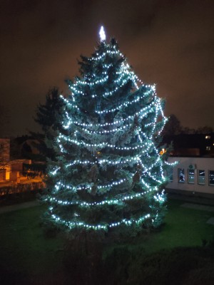 Slavnostní rozsvěcení velkého vánočního stromu