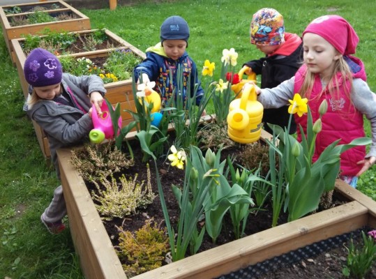 Pěstujeme květinky...