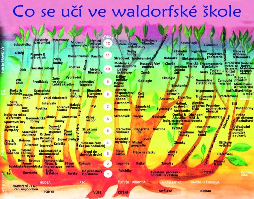 Co se učí na waldorfské škole- STROM
