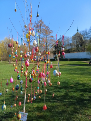 Naše škola se ráda připojila k nápadu Magistrátu města Pardubice na barevnou Velikonoční procházku v Tyršových sadech. V rámci výtvarné výchovy a pracovních činností naši žáci ozdobili velikonoční kraslice a společně je zavěsili na náš školní strom. Je od něj krásný výhled na zámek, určitě se běžte podívat! Pokud to nestihnete, zde je malá ukázka, jak žáci strom zdobili.